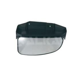 Spiegelglas, Außenspiegel 6452921