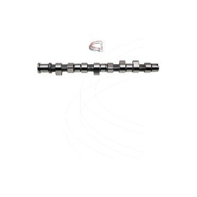 Nockenwelle CP12215 von CAMPRO günstig für 319,07 € online kaufen