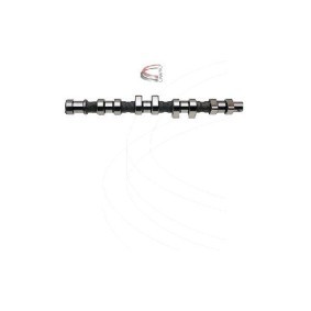 Nockenwelle CP12236 von CAMPRO günstig für 383,01 € online kaufen