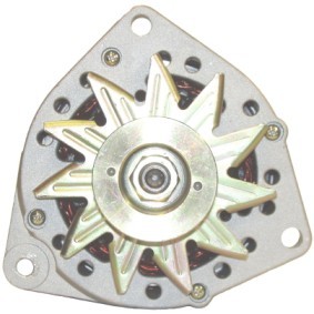 Lichtmaschine 858783 für DAF