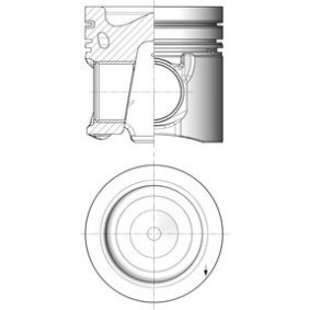 Zylinderkopf 50003035