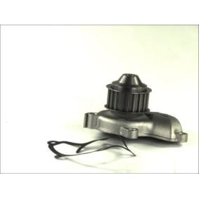 Wasserpumpe D11028TT