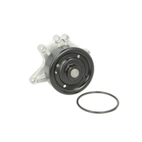 Achetez des Pompe à eau THERMOTEC D12079TT à prix pour 31,59 €