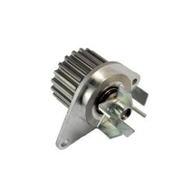 Wasserpumpe D1P012TT