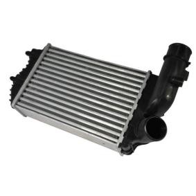 Kjøp Intercooler av THERMOTEC DAF001TT til den lave prisen 1213,81 NOK