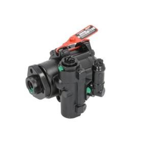 Achetez des Pompe de direction assistée LAUBER 55.0493 à prix pour 100,16 €