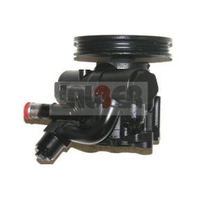Servopumpe 55.1045