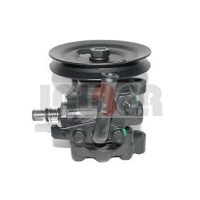 Acquista Pompa idraulica, sterzo da LAUBER 55.1110 a buon mercato per soli 86,24 €