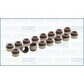 Dichtungssatz, Ventilschaft 57013800
