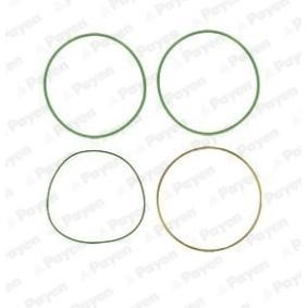 Acquista Kit guarnizioni, Canna cilindro da PAYEN HT018 a buon mercato per soli 15,83 €
