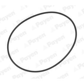 Köp O-ringssats, cylinderfoder av PAYEN PA709 till det låga priset 57,89 kr