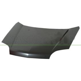Motorhaube DS8303100