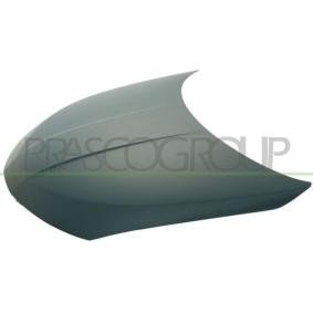 Motorhaube DS7303100