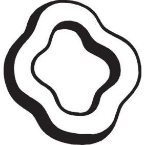 Gummistreifen, Abgasanlage 255-013