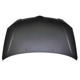 Motorhaube 81 11 03