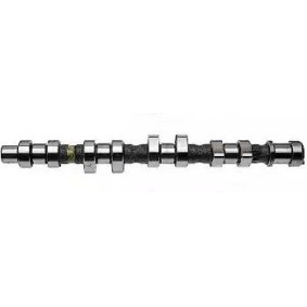 Nockenwelle 215304
