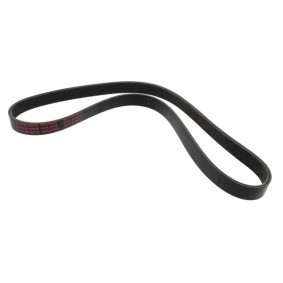 Compre Correia trapezoidal estriada da MAPCO 261042E a um preço baixo por 8,75 €