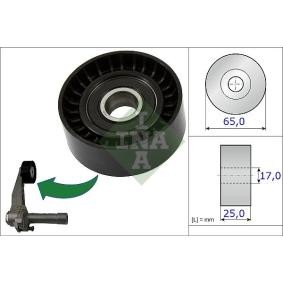 Compre Rolo tensor, correia trapezoidal estriada da INA 531 0866 10 a um preço baixo por 26,07 €