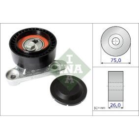 Comprar Polea tensora, correa poli V de INA 531 0871 10 a bajo precio de 51,41 €