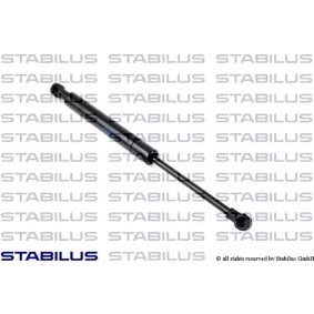 Gasfeder, Heckscheibe von STABILUS