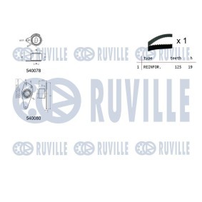Acquista Tendicinghia, cinghia poly-v da RUVILLE online per 400 Tourer (XW) a prezzi moderati