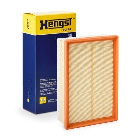 Luftfilter E1053L