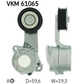 Compre Polea tensora, correa poli V de SKF online para iQ (_J1_) a precios moderados