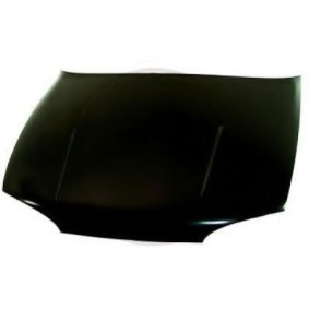 Motorhaube 6840000
