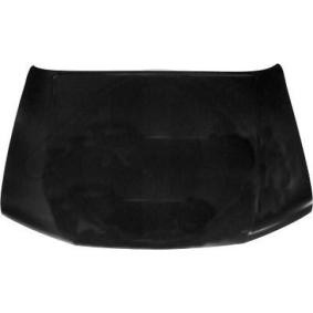 Motorhaube 6084000
