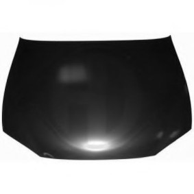Motorhaube 6841000