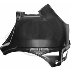 Kjøp Sidepanel fra DIEDERICHS på nett for Corsa C Hatchback (X01) til moderate priser