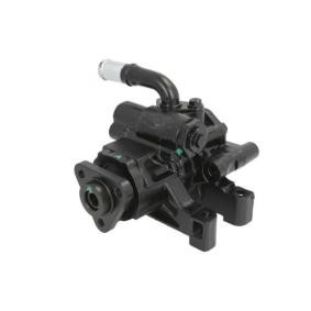 Servopumpe von LAUBER für Transit Custom V362 Kastenwagen (FY, FZ) günstig online kaufen