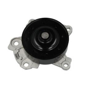 Wasserpumpe D12096TT