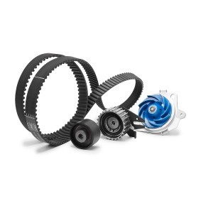 Achetez des Kit de distribution + pompe à eau SKF VKMC 05194 à prix pour 108,66 €