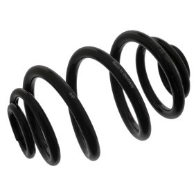 Köp Spiralfjäder av FEBI BILSTEIN 38668 till det låga priset 790,74 kr