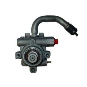 Servopumpe 53706
