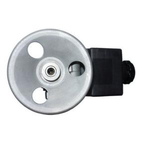Achetez des Pompe de direction assistée SPIDAN 52609 à prix pour 257,20 €