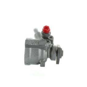 Achetez des Pompe de direction assistée SPIDAN 52666 à prix pour 252,58 €