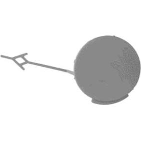 Klappe, Abschlepphaken 3850587