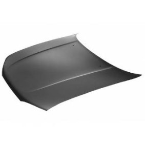 Motorhaube 5125660
