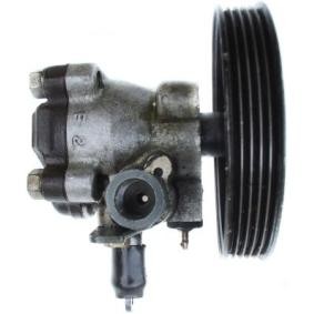 Servopumpe 54362