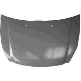 Motorhaube 8362660