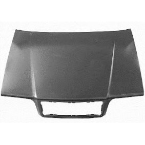 Motorhaube 5958660