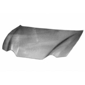 Motorhaube 8212660