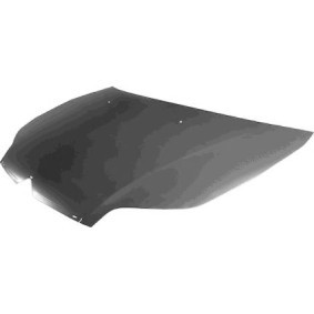 Motorhaube 0970760 von VAN WEZEL günstig für 414,23 € online kaufen