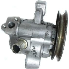 Servopumpe 53826
