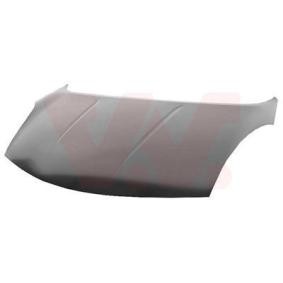 Motorhaube 3338660