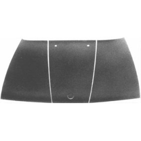 Motorhaube 0635660