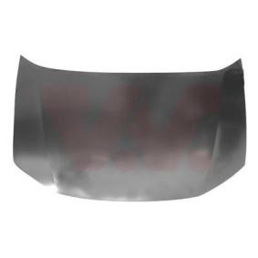 Motorhaube 2511660