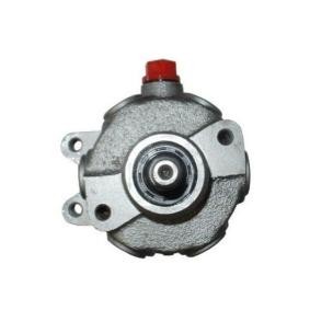 Servopumpe 53870